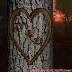 Proof of Love!