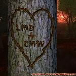 Proof of Love!