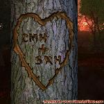 Proof of Love!