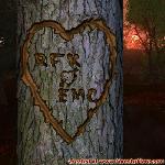 Proof of Love!