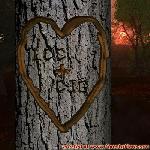 Proof of Love!