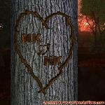 Proof of Love!