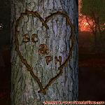 Proof of Love!