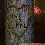 Proof of Love!