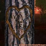 Proof of Love!