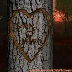 Proof of Love!