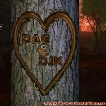 Proof of Love!