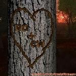 Proof of Love!