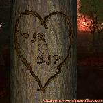 Proof of Love!