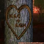 Proof of Love!