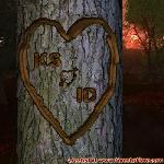 Proof of Love!
