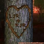 Proof of Love!