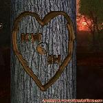 Proof of Love!
