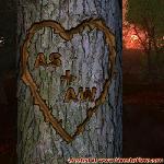 Proof of Love!