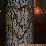 Proof of Love!