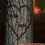 Proof of Love!