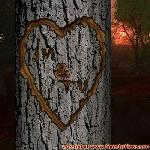 Proof of Love!