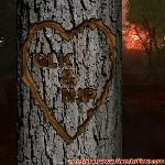 Proof of Love!