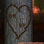 Proof of Love!