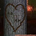 Proof of Love!