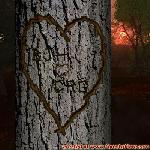 Proof of Love!