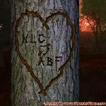 Proof of Love!