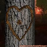 Proof of Love!