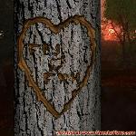 Proof of Love!
