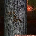 Proof of Love!