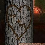 Proof of Love!