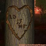 Proof of Love!