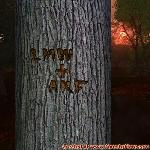Proof of Love!