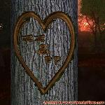 Proof of Love!