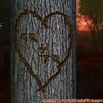 Proof of Love!