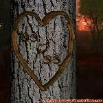 Proof of Love!