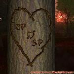 Proof of Love!