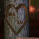 Proof of Love!
