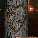 Proof of Love!