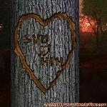 Proof of Love!