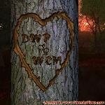 Proof of Love!