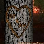 Proof of Love!