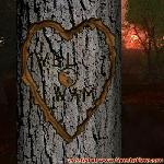Proof of Love!