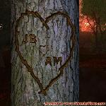 Proof of Love!