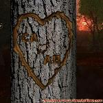 Proof of Love!
