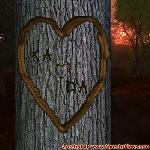 Proof of Love!