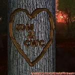 Proof of Love!