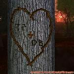 Proof of Love!