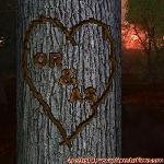 Proof of Love!