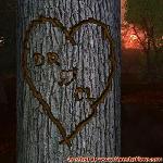 Proof of Love!