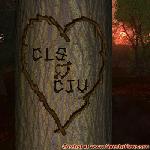 Proof of Love!